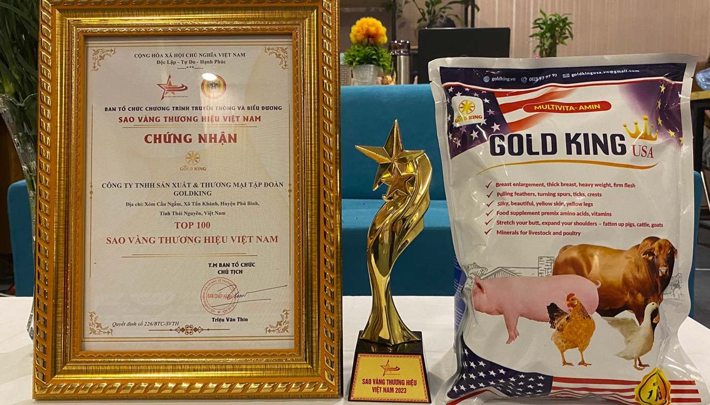 Sao vàng thương hiệu Việt Nam – Goldking